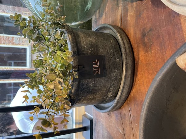 Still Planter pot zwart L 12cm hoog en 30cm doorsnee